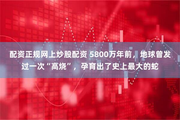 配资正规网上炒股配资 5800万年前，地球曾发过一次“高烧”，孕育出了史上最大的蛇