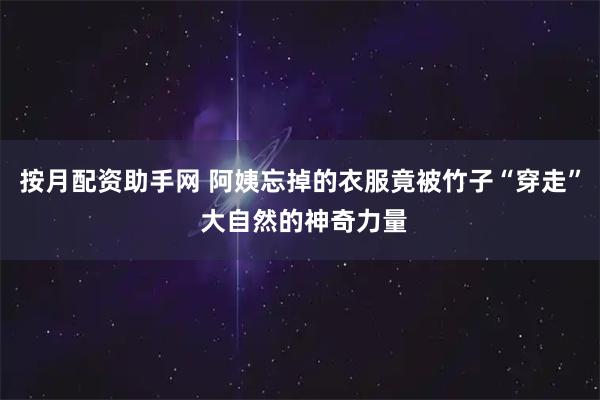 按月配资助手网 阿姨忘掉的衣服竟被竹子“穿走” 大自然的神奇力量